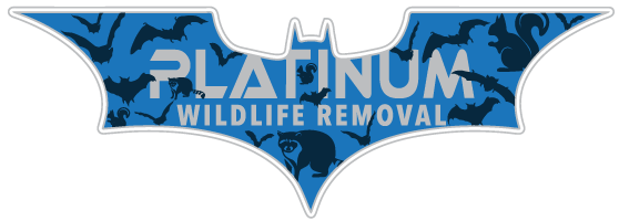 Wildlife Removal Owen County