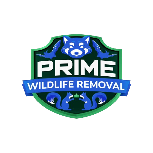 Wildlife Removal Owen County